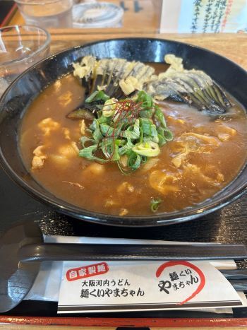 なす天カレーうどん