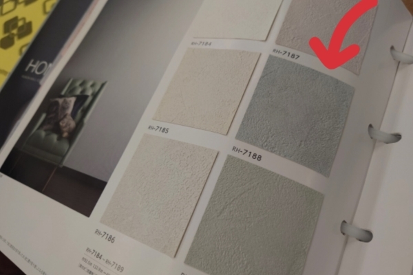 InShot_20240106_132641487 sm