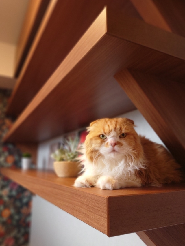 20240115_100511-1 sm